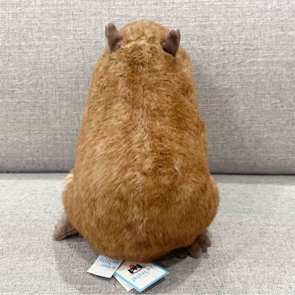 Jellycat Clyde Capybara Brand New with Tags (BNWT) - Picture 5 of 5